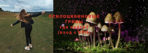 MDMA Беломорск