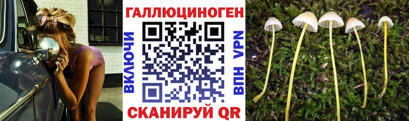 Псилоцибиновые грибы Cubensis  Купить  Усть-Джегута 