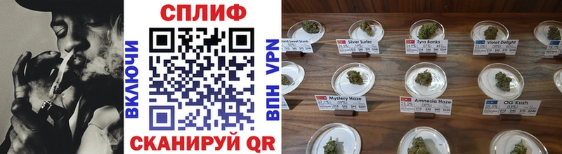 Купить закладки  Усть-Джегута  Бошки Шишки планчик 